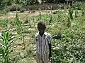 Child standing in household garden.