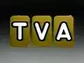 TVA logo, 1984–September 1990