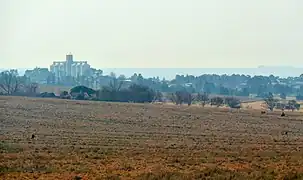 Winter landscape around Tweeling