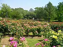 Rose Garden Center (March 2009) in Tyler, Texas