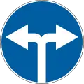 Turn left or right (no straight ahead) (1991–2021)