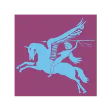 light blue Pegasus and rider on purple background