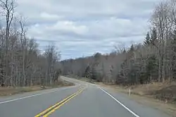 Along U.S. Route 219 south of Lewis Run