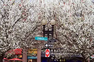 Charles St. at Edgar Allan Poe Square