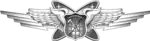 Multi-Domain Warfare Officer Badge