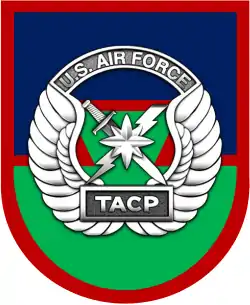 Tactical Air Control Party Flash and Crest