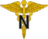 Army Nurse Corps (United States)