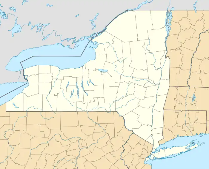 Dutchman's Shoes is located in New York