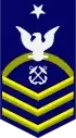 E-8 insignia