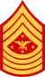 Senior Enlisted Advisor to the Chairman