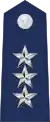 Colonel