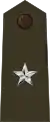 Brigadier general