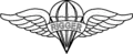 Parachute Rigger Badge