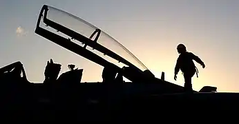 Grumman F-14 Tomcat