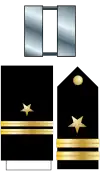 US Navy O3 insignia