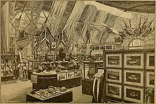 #42 (24/9/1877)Another illustration of the American court at the International Fisheries Exhibition of 1883, with a giant squid model based on the Catalina specimen hanging overhead, from the fourth of a series of papers about the exhibition published in Science by American ichthyologist George Brown Goode (Goode, 1883:614, fig.).