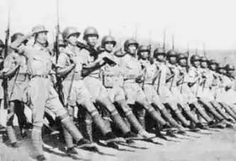 Chinese Expeditionary Force with American equipment in India