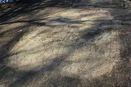 Rune carving, Riksbyhällen, on the cliff, U58, is very artistically executed.