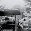 The head fallen off the Daibutsu, after the 1923 earthquake.