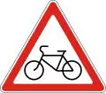 Bicycle crossing