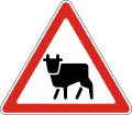 Livestock crossing