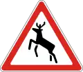 Wild animals crossing