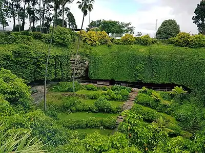 Umpherston Sinkhole / Balumbul