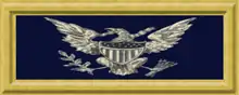 An insignia with a navy blue background and a silver eagle