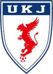 Shirt badge/Association crest