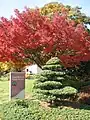 Entry to the National Bonsai & Penjing Museum, U.S. National Arboretum