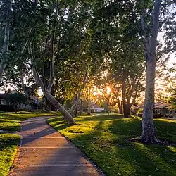 A typical greenbelt section passing between homes in University Park, Irvine, California.