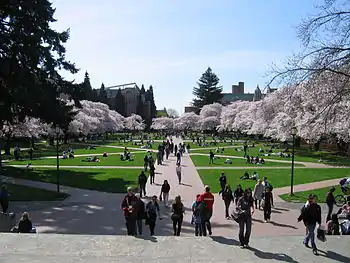 University of Washington Quad