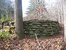 A rough stone wall, made of several courses of flat stones in concrete, in an overgrown area with a tree trunk