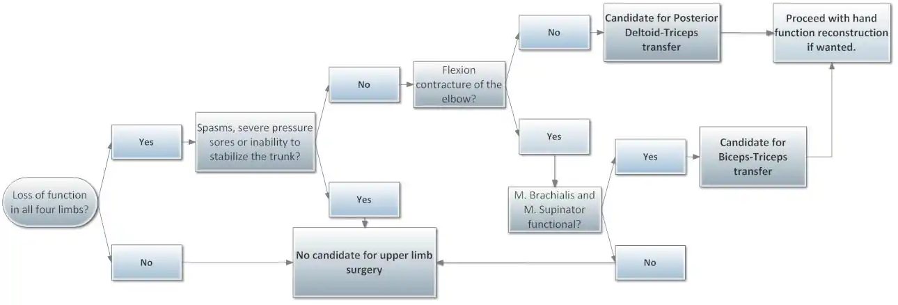 Indications and contraindications for upper limb surgery in tetraplegia