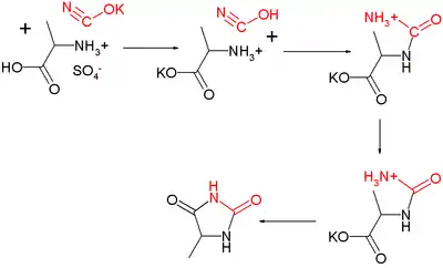 Urech Hydantoin synthesis