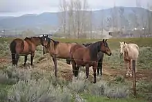 Image 51Farms and ranches (from Utah)