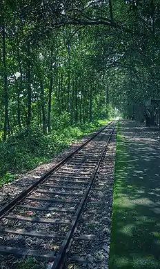 Vallapuzha Railway