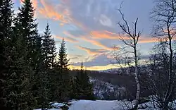 View from Vaglaskógur forest