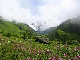 The perpetual alpine meadows in Uttarakhand, India (western Himalayas).