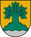 Coat of arms of Valmiera Municipality