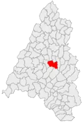 Location in Bihor County