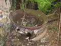 A copper vat for distilling rum from the old sugar mill