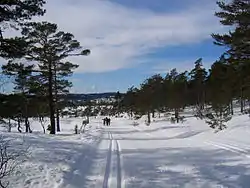 View of the ski terrain at Topdalsheia