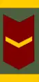 Sargento segundo(Venezuelan Army)