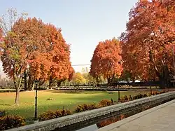 Verinag Garden in Autumn