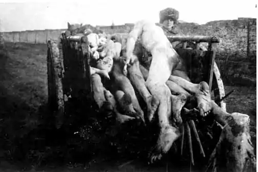 Image 7Corpse of Soviet Famine victims transported to the cemetery. (Kherson)