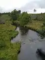 The River Vienne, flowing past signs of recent logging near Peyrelevade, a few kilometres from its sources near the village of Millevaches