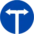 301i: Turn left or right only