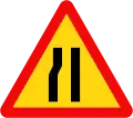 203b: Road narrows ahead on the left side