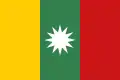 Nguyen Thanh Tri & Tristan Nguyen's Proposal for a neutral "Reconciliation Flag of Vietnam" (1973)